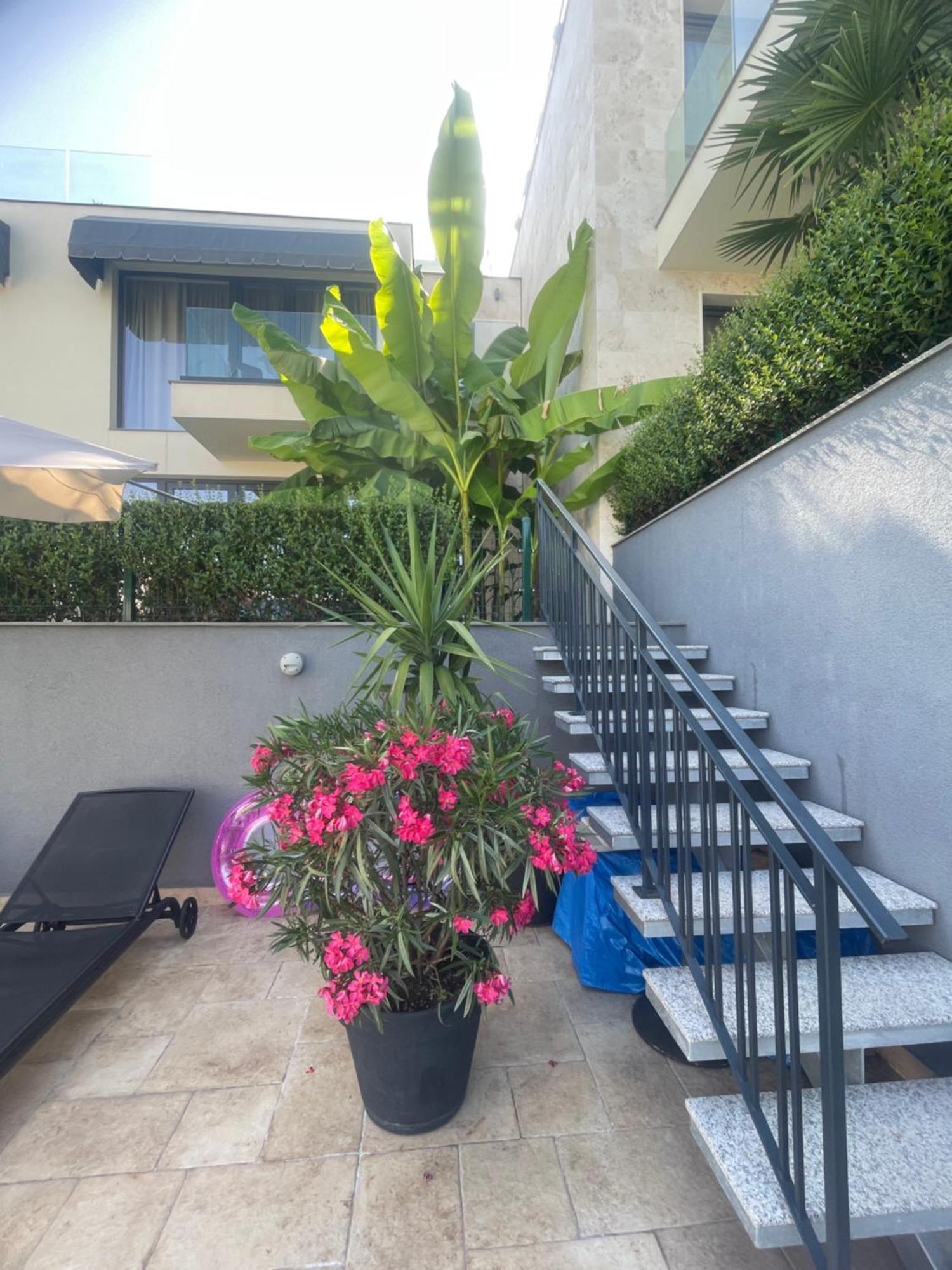 Buena Vista Villas Varna Buitenkant foto